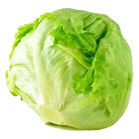 Types Of Lettuce, Bread Salad, Still Life Fruit, Iceberg Lettuce, Garden Salad, Food Lion, Tuna Salad, Greek Salad, Bean Salad