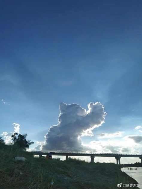 Cat And Cloud, Light Blue Aesthetic, Angel Cat, Cloud Art, Cloud Shapes, Cat Aesthetic, Sky Aesthetic, Best Funny Pictures, Pretty Pictures