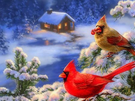 birds in winter | Cardinals in Winter★ - Birds & Animals Background Wallpapers on ... Christmas Cardinals, Christmas Bird, Cardinal Birds, Diamond Mosaic, Hanging Posters, Christmas Scenes, Winter Art, Red Birds, Christmas Paintings