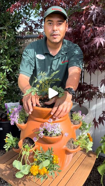 Armstrong Garden Centers on Instagram: "Companion planting hack for small gardens! 🍓You can use a strawberry pot to grow a tomato with loads of companion plants even if you are short on space. This is an easy way to try vertical gardening and make the most of your patio, balcony or urban garden this season 🪴 

🍅 choose a determinatebtomato like a Roma or other patio varieties because they stay compact and will do well in a container. 

🌼 you can try other companion plants like herbs or calandula too! 

So what do you think - want to give growing a tomato ina. Strawberry pot a try? Leave a 🍅 if you want to learn more! 

#urbanharvest #urbangarden #gardenhack #gardentip #growtomatoes #verticalgardening #upcyclegarden" Strawberry Pots Ideas Plants, Urban Gardening Balcony, Strawberry Pot, Determinate Tomatoes, Strawberry Pots, Plant Arrangement, Strawberry Planters, Small Balcony Garden, Garden Centers