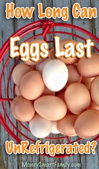 Chicken Egg Storage, Preserving Eggs, Storing Eggs, Freezing Eggs, Chicken Care, Kids In The Kitchen, Money Smart, Emergency Prepardness, Survival Books