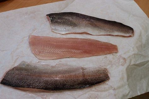 Trout Fillets Pan Fry Trout Recipe, Mullet Recipe, Grey Mullet, Mullet Fish, Pan Fried Trout, Trout Recipe, Spanish Mackerel, Trout Recipes, Grill Barbecue