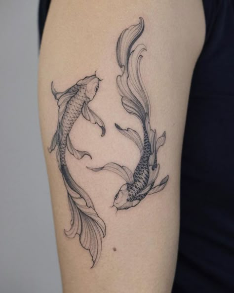 Koi Fish Tattoo Koi Fish Drawing Tattoo, Coy Fish Tattoos, Jasmine Tattoo, Koi Fish Tattoos, Pisces Tattoo Designs, Koi Tattoo Design, Pisces Tattoos, Star Tattoo Designs, Koi Tattoo