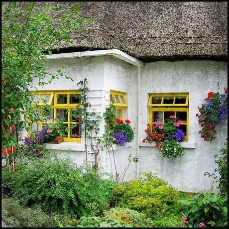 Irish Cottage Decor, Irish Cottages, Ireland Cottage, Irish Country, Ireland Photography, English Cottages, Small Cottages, Irish Cottage, Into The West