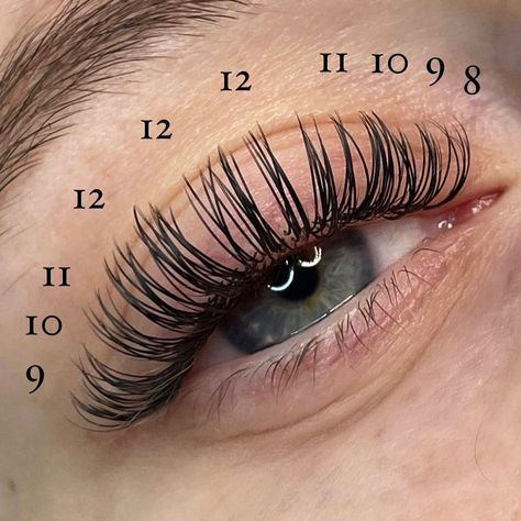 Classic Doll Eye Mapping, Classic Open Eye Lash Map, Doll Eye Classic Lash Map, Lash Maps For Different Eye Shapes, Open Eye Classic Lash Extensions Mapping, Lash Doll Eye, Lash Mapping Doll Eye, Lash Extensions Doll Eye Style, Doll Lash Extensions Map