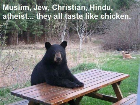 They all taste like chicken. Vintage Foto's, Into The West, Big Lebowski, Funny Bears, Appaloosa, Quarter Horse, Black Bear, Picnic Table, Polar Bear