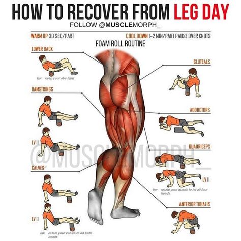 "When I train Legs I make them my B*tch for an hour Then for the next 2 Days they make me theirs" ➖➖➖ Want To 'Accelerate' Recovery Time? . Hit 'Save' & Try It Next Time. DONT BE LAZY, Try it Once & You'll be addicted . . . . LEG DAY + FOAM ROLL = Faster Recovery = Gains. - ✅ Foam Rolling Is Best Used After Training, Not Before: - The only time where foam rolling is warranted in the warm-up is when there's ‘notable’ mobility dysfunction present. That means that dysfunction has be... Leg Workouts For Men, Golf Workout, Leg Workouts Gym, Foam Roll, Fitness Hacks, Titleist Golf, Muscle Abdominal, Leg Day Workouts, Bodybuilding Motivation Quotes