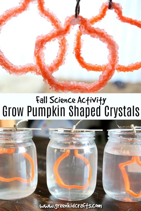 Fall Science Grow Pumpkin Shaped Crystals - Green Kid Crafts Crystals At Home, Fall Science Activities, Fall Stem Activities, Fall Activities For Kids, Pumpkin Science, Color Science, Fall Science, Science For Toddlers, Stem Experiments