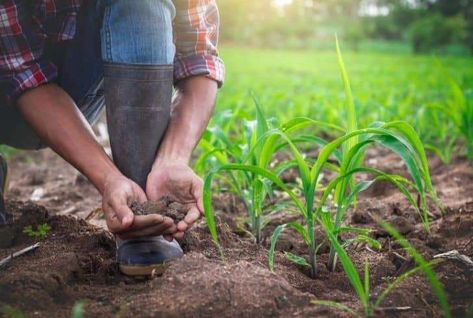 Farming Technology, Precision Agriculture, Community Supported Agriculture, Carbon Sequestration, Agriculture Farming, Sustainable Agriculture, Renewable Sources Of Energy, Food Security, Sustainable Farming