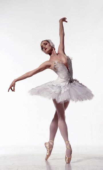 Gillian Murphy, otherwise known as the most wonderful White Swan since Pavlova. Ballet Movies, Gillian Murphy, Ballet Pictures, Ballet Beauty, Ballet Poses, Ballet Inspiration, American Ballet Theatre, Ballet Art, Photographie Portrait Inspiration