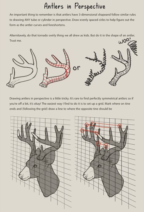 Deer Antlers Reference, Deer Antlers Side View, Antler Drawing Reference, Deer Fursona Art, Antler Reference, Deer Side View, Deer Antlers Drawing, Types Of Deer, Deer Hooves