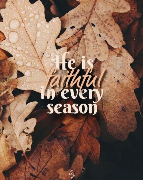 Blessed Wallpaper, Fall Bible Verses, Faithful God, Christian Fall, Sukkot, God Is Real, Bible Motivation, Autumn Quotes, Bible Verses Quotes Inspirational