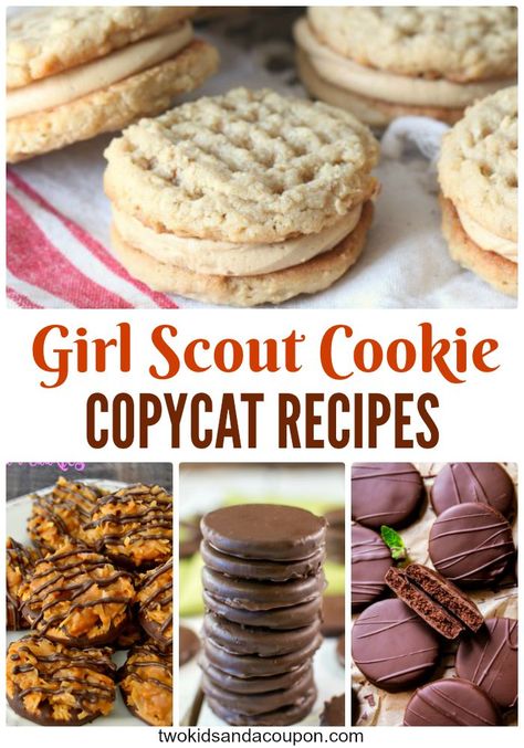 best chocolate cookie recipes Creeper Minecraft, Cat Recipes, Mint Cookies, Cookie Flavors, Girl Scout Cookies, Homemade Desserts, Favorite Cookies, Restaurant Recipes, Healthy Dessert