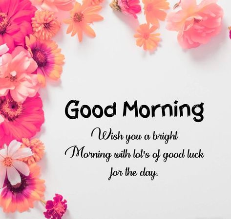 A bright Morning Images 2023 - Good Morning Images, Quotes, Wishes, Messages, greetings & eCards Afternoon Messages, Morning Massage, Gd Mrng, Good Morning Sun, Morning Gifs, Good Morning Message, Bright Morning, Gd Morning, Lovely Good Morning Images