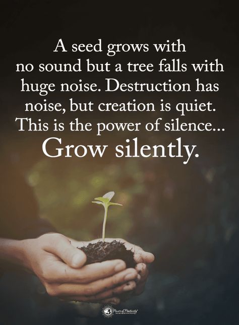 Quotes A Seed grows with no sound but a tree falls with huge noise. Destruction has noise, but creation it quiet. This is the power of silence. Grow silently. Grow Silently, Power Of Silence Quotes, Now Quotes, Silence Quotes, Power Of Positivity, Parenting Quotes, Uplifting Quotes, Inspiring Quotes About Life, Wise Quotes