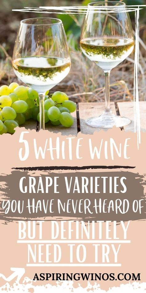 Six White Wine Grapes You Have To Try | White Wine | Never Heard Of Wines | White Wine Grapes #WhiteWines #WhiteWineGrapes #WhiteWinesYouHaveToTry #NeverHeardOfWines White Wine Grapes, Wine Cocktail Recipes, Blog Success, Wine Grapes, Semillon, Inspirational Blogs, White Wines, Wine Education, Sweet Wine