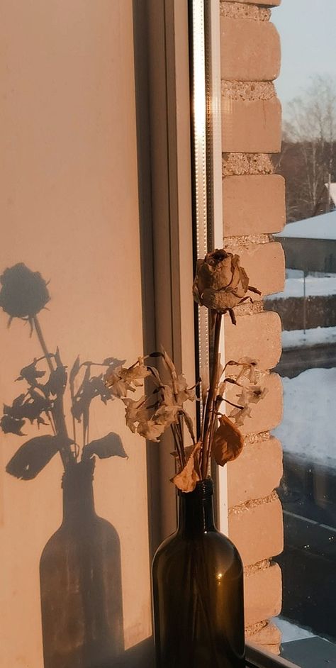 Dried Plants Aesthetic, Dried Flowers Wallpaper, Dry Flowers Aesthetic, Dried Flower Aesthetic, Aesthetic Dried Flowers, Golden Hour Wallpaper, Dead Plants Aesthetic, Hanging Dried Flowers Aesthetic, Dark Academia Dried Flowers