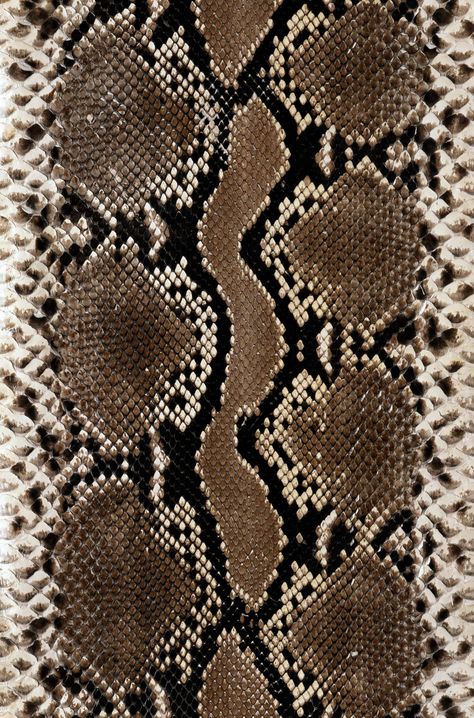 (1690×2560) Animal Print Wallpaper, Shotting Photo, Snake Skin Pattern, Skin Pattern, Print Wallpaper, Animal Skin, Patterns In Nature, Color Textures, Snake Print