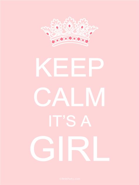 "Keep Calm It's a Girl" (Baby Signs @ Bird's Party Blog: FREE Printables) Vom Avea Un Copil, Baby Girl Sign, Girl Sign, Shower Bebe, Mia 3, Girl Posters, Everything Baby, E Card, Baby Signs