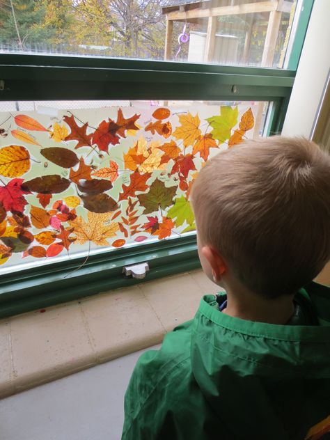 Collect leaves, maple keys, seeds, etc. Place a piece of Mac-Tac (clear adhesive) on table, sticky side up, kids stick leaves on. Cover with another piece of Mac-Tac and tape in window - beautiful! Fall Leaf Crafts For Kids, Fall Leaves Preschool, Leaves Preschool, Leaf Crafts For Kids, Wax Paper Crafts, Fall Leaf Crafts, Preschool Crafts Fall, Preschool Fall, Leaf Projects