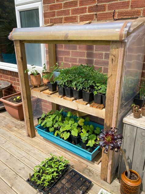 Diy Greenhouse On Deck, Pallet And Window Greenhouse, How To Build A Mini Greenhouse, Mini Greenhouse Ideas Diy, Mini Green House Ideas, Diy Cold Frame Ideas, Mini Green House Diy, Willow Garden Ideas, Diy Cold Frame Greenhouse