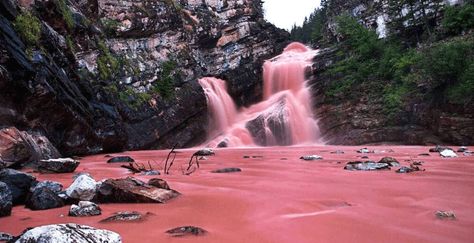 Canada is home to a real pink waterfall and it’s incredible (PHOTOS) | Curated Pink River, Romantic Camping, Alberta Travel, Waterton Lakes National Park, Canadian Travel, California Travel Road Trips, Road Trip Planning, Travel Humor, Secret Places