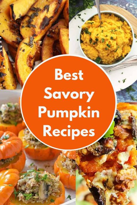 Pumpkin Dishes Dinners, Pumpkin Recipes Healthy Savory, Canned Pumpkin Recipes Dinner, Pumpkin Side Dishes, Meals With Pumpkin, Pumpkin Main Dishes, Savory Pumpkin Appetizers, Pumpkin Side Dish Recipes, Pumpkin Savory Recipes