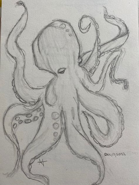 What to draw, ideas, ideas for sketch book, sketch book practice ideas, pencil, pencil drawing, lines, shading practice, outfit, drawing, ocean, octopus, fish, octopus drawing, sketchbook,#aesthetic, #coquette, #dress, #drawing, #art, #outfits, #sketch, #ocean #octopus #sea #toptags, #thingstodo, #ideas #mask #y2k #fish #fashion Art Sketchbook Sealife, Octopus Drawing Pencil, Drawing Of An Octopus, Sketches Of Octopus, Water Animal Sketch, Sketchs Ideas Pencil Aesthetic, Sloth Drawing Sketch, Sketchbook Ideas Ocean, Sea Fish Drawing Ocean