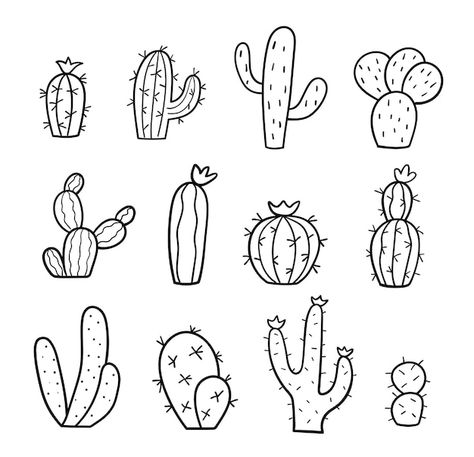 Plant Outline, Cactus Outline, Line Drawing Images, Cactus Doodle, Plants Vector, Linear Illustration, A Line Drawing, Cactus Drawing, Outline Images