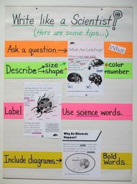 Scientist Anchor Chart, Science Hacks, Biology Ideas, Steam Classroom, Science Experience, Science Anchor Charts, Teacher Forms, Science Literacy, Science Writing