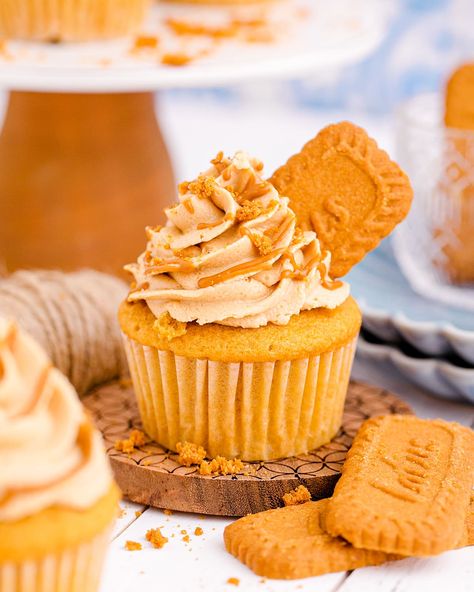 Biscoff Cupcakes Box Cake, Cookie Butter Cupcakes Recipe, Butter Cake Mix Recipes, Cake Box Cupcakes, Biscotti Cupcakes, Cookie Butter Cupcakes, Biscoff Frosting, Homemade Biscoff, Biscoff Buttercream