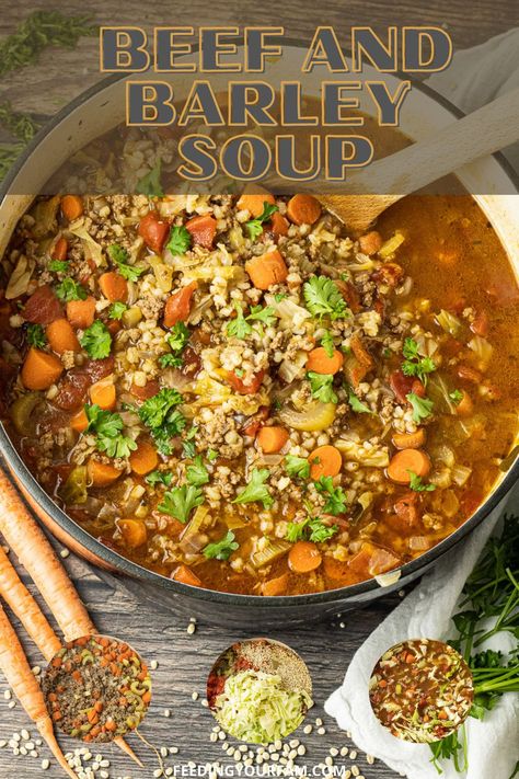 Barely Soup, Beef And Barley Soup Recipe, Crockpot Beef Barley Soup, Beef And Barley Soup, Barley Soup Recipe, Beef And Barley, How To Cook Barley, Comfort Soup Recipes, Beef Soup Recipes