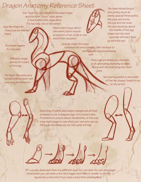 Dragon Anatomy Reference Sheet by KyriaDori on DeviantArt Dragon Anatomy, Creature Fantasy, Dragon Sketch, Different Poses, Reference Sheet, Dragon Artwork, Dragon Drawing, Figure Drawing Reference, Anatomy Reference