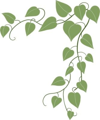 Ivy Pattern Design, English Ivy Drawing, Easy Vines Drawing, Ivy Doodle, Ivy Sketch, Ivy Drawing, Ivy Draw, Door Paintings, Poison Ivy Leaves