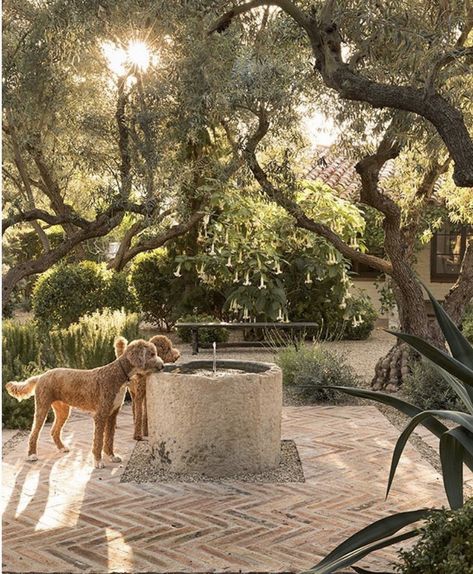 Scott Shrader, وابي سابي, Landscape Designs, Mediterranean Garden, Pergola Patio, Dream Backyard, Gorgeous Gardens, Water Fountain, Outdoor Design