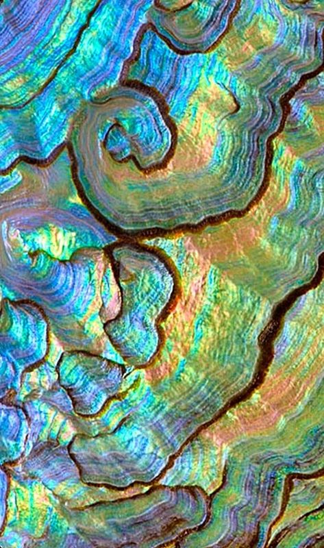 Iridescent Aesthetic, Metallic Rainbow, Textil Design, Oil Slick, Ethereal Art, Patterns In Nature, Abalone Shell, Textures Patterns, Nature Art