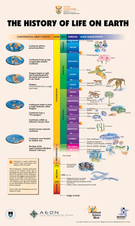 Life on Earth Image Coutery : AEON History Of Life On Earth, Geologic Time Scale, History Of Earth, Montessori Elementary, Earth Images, History Timeline, Ayat Alkitab, Life On Earth, Charles Darwin