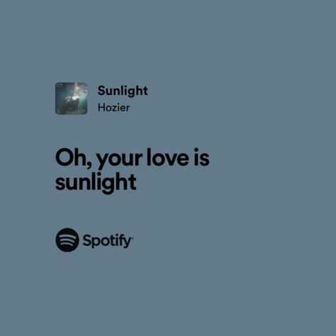 Hozier Lyrics Captions, Hozier Love Lyrics, I Love You In Hozier Lyrics, Hozier Sunlight, Hozier Quotes, Hozier Lyrics, Spotify Lyrics, Love Songs Lyrics, Hozier