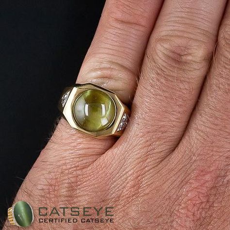 Take the astrological benefits by wearing ketu's stone cats eye ring @ http://catseye.org.in/benefits-wearing-cats-eye-gemstone/ Cats Eye Gem, Daylight Ring, Cat Eye Jewelry, Mens Ring Designs, Cats Eye Ring, Mens Gold Rings, Cats Eye, Men Diamond Ring, Put A Ring On It