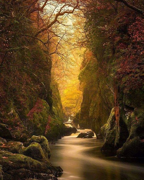 Explore creativeartstac's photos on Flickr. creativeartstac has uploaded 144 photos to Flickr. شرم الشيخ, Fairy Glen, Matka Natura, North Wales, Alam Semula Jadi, Magical Places, Pretty Places, Amazing Nature, Nature Photos