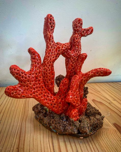 Large Coral Sculpture, Coral Clay Art, Coral Ceramic Art, Coral Clay Sculpture, Clay Ocean Animals, Coral Ceramics, Clay Coral Reef, Coral Reef Sculpture, Coral Pottery