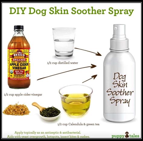 Dog Skin Allergies, Dog Spray, Itchy Dog, Background Grey, Dog Remedies, Dog Itching, Raw Dog Food Recipes, Dog Allergies, Dog Skin