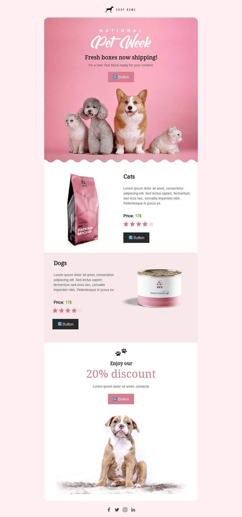 E-mail Template Design, Email Marketing Design Ecommerce, Email Graphic Design Layout, Email Product Design, Email Template Design Creative, Newsletter Email Template, Mobile Email Design, New Product Email Design, Email Promotion Design