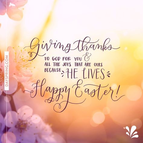 He is risen... He is risen indeed! Happy Easter, friends. #dayspring #easter #ecardstudio Happy Easter Quotes Jesus Christ, Verjaarsdae Wense, He Is Risen Quotes, Easter Wishes Messages, Easter Inspirational Quotes, Easter Verses, Happy Easter Messages, Rise Quotes, Happy Easter Quotes