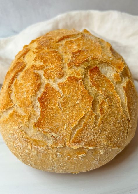 No-Knead Gluten-Free Bread - The Modern Nonna Best Easy Gluten Free Bread, Gluten Free Bread No Knead, Gf No Knead Bread, Gluten Free Skillet Bread, No Knead Gluten Free Bread, Gluten Free No Knead Bread, Gf Bread Recipes, Gluten Free Crusty Bread, Easy Gluten Free Bread