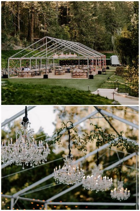 Glass Tents For Weddings, Glass Garden Wedding, Glass Tent Wedding Reception, Glass Wedding Tent, Tent Design Ideas Events, Frame Tent Wedding, Romantic Tent Wedding, Glass Wedding Venues, Glass Tent Wedding