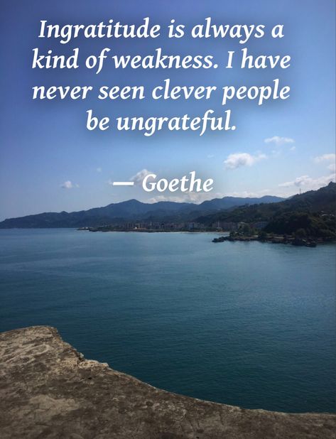 Photo by Onur Taşkıran, Giresun on the Black Sea, Türkiye. #philosophy #philosophers #lifequotes #wordsofwisdom #stoic #goethe #ungrateful #entitled #ingratitude Ingratitude Quotes, Socrates, Literary Quotes, Philosophers, Black Sea, Gratitude, The Black, Philosophy, Words Of Wisdom