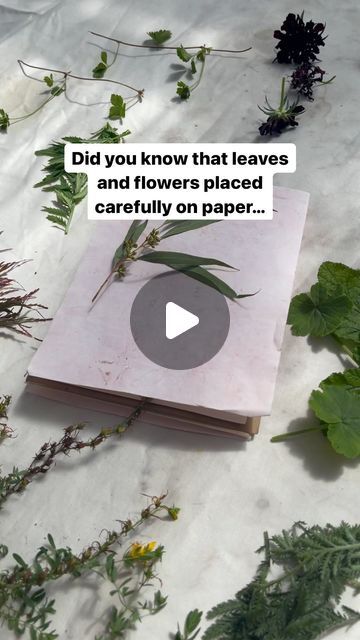 Eco Printing Paper, Eco Print Paper, Flower Printing On Paper, Eco Printing Tutorial Step By Step, Eco Printing On Paper, Nature Journal Ideas, Ecoprint Paper, Eco Friendly Art Projects, Natural Printing