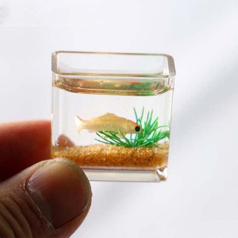 PRICES MAY VARY. Made of high quality acrylic (square)/glass (round) material, safe and durable, realistic and interesting. Designed for 1:12 scale miniature setting. Very suitable for your dollhouse scene. Cute miniature ornaments are very suitable for DIY your creativity, such as creating interesting fairy tale gardens. Perfect gifts and collectibles, suitable for those who like crafts and miniatures! Note: This product is only a toy model. Material: GlassSize: 2*2.5cmColor: As the pictures sh Square Fish Tank, Kids Aquarium, Fish Bowl Decorations, Glass Fish Tanks, Glass Fish Bowl, Fish Tank Accessories, Doll House Crafts, Mini Accessories, Dollhouse Toys