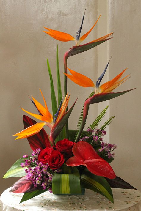 Birds Of Paradise Arrangement, Birds Of Paradise Flower Arrangement, Bird Of Paradise Flower Arrangement, Bird Of Paradise Arrangement, Arreglos Ikebana, Bird Of Paradise Flower, Floral Art Arrangements, Tropical Floral Arrangements, Tropical Flower Arrangements